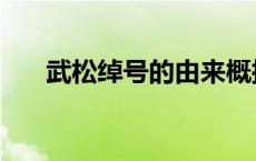 武松绰号的由来概括 武松绰号的由来 