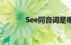 See同音词是哪个 see同音词 