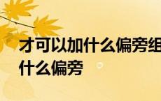 才可以加什么偏旁组成新字并组词 才可以加什么偏旁 