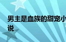 男主是血族的甜宠小说 男主是血族的宠文小说 