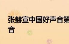 张赫宣中国好声音第一首歌 张赫宣中国好声音 