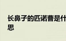 长鼻子的匹诺曹是什么意思 匹诺曹是什么意思 