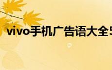 vivo手机广告语大全56条 vivo手机广告词 