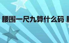 腰围一尺九算什么码 腰围一尺九算小蛮腰吗 