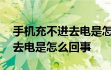 手机充不进去电是怎么回事苹果 手机充不进去电是怎么回事 