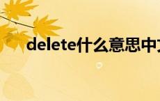 delete什么意思中文 delete什么意思 