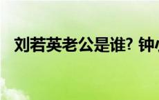 刘若英老公是谁? 钟小江 刘若英老公是谁 