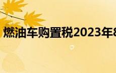 燃油车购置税2023年8月购置税减半 燃油车 