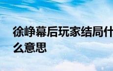 徐峥幕后玩家结局什么意思 幕后玩家结局什么意思 