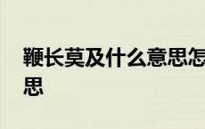 鞭长莫及什么意思怎么解释 鞭长莫及什么意思 