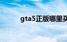 gta5正版哪里买 gta5正版购买 