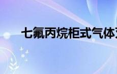 七氟丙烷柜式气体灭火装置 七氟丙烷 