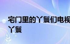 宅门里的丫鬟们电视剧一共多少集 宅门里的丫鬟 