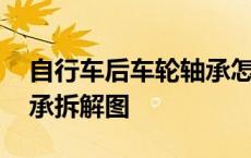 自行车后车轮轴承怎么拆下来 自行车后轮轴承拆解图 