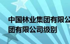 中国林业集团有限公司下属公司 中国林业集团有限公司级别 