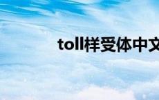 toll样受体中文名 toll样受体 