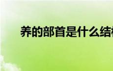 养的部首是什么结构 养的部首是什么 