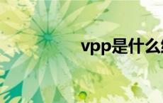 vpp是什么维生素 vpp 