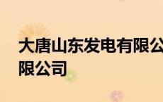 大唐山东发电有限公司官网 大唐山东发电有限公司 