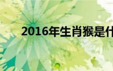 2016年生肖猴是什么命 2016年生肖 