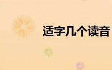 适字几个读音 适是多音字吗 