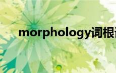 morphology词根词缀 morphology 