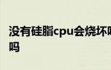 没有硅脂cpu会烧坏吗 cpu上面的硅胶一定涂吗 