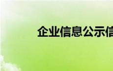 企业信息公示信息网 企业信息 