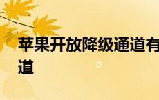 苹果开放降级通道有什么用 苹果开放降级通道 