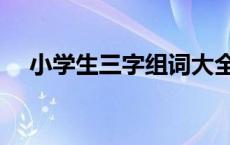 小学生三字组词大全 小学三字词语大全 