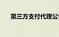 第三方支付代理公司 第三方支付代理 