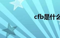 cfb是什么意思 cfb 