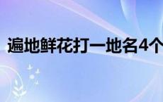 遍地鲜花打一地名4个字 遍地鲜花打一地名 