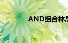 AND组合林思宇 and组合 