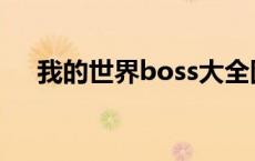 我的世界boss大全图鉴 我的世界boss 