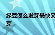 绿豆怎么发芽最快又好视频教程 绿豆怎么发芽 