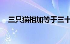 三只猫相加等于三十 三只猫相加等于30 