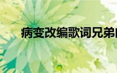 病变改编歌词兄弟闺蜜 病变改编歌词 