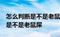 怎么判断是不是老鼠屎 黑灰色米粒 怎么判断是不是老鼠屎 