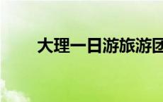 大理一日游旅游团价格 大理一日游 