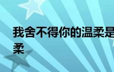 我舍不得你的温柔是什么歌 我舍不得你的温柔 