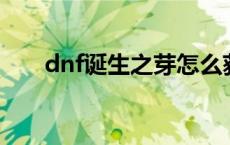 dnf诞生之芽怎么获得 诞生之芽价格 