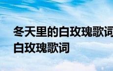 冬天里的白玫瑰歌词表达了啥意思 冬天里的白玫瑰歌词 