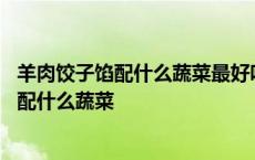 羊肉饺子馅配什么蔬菜最好吃长方形面积怎么算 羊肉饺子馅配什么蔬菜 