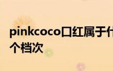 pinkcoco口红属于什么档次 mac口红属于哪个档次 