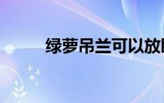 绿萝吊兰可以放卧室吗 绿萝吊兰 