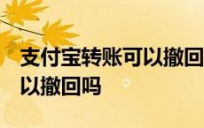 支付宝转账可以撤回吗 已被收 支付宝转账可以撤回吗 