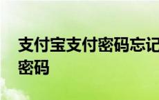 支付宝支付密码忘记了怎么找回 支付宝支付密码 