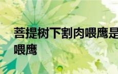 菩提树下割肉喂鹰是什么意思 菩提树下割肉喂鹰 