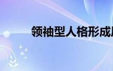 领袖型人格形成原因 领袖型人格 